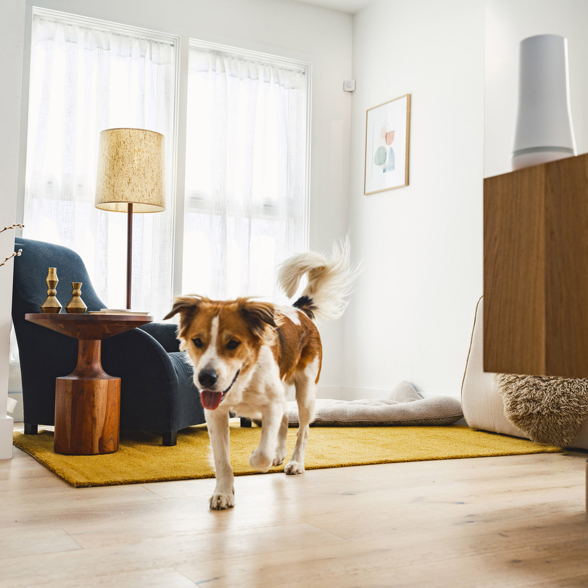 Stay Safe and Secure! 🏡💪 Check out our Simplisafe Security System with 2 Outdoor Cameras - 13-Piece Bundle! 📸🔒