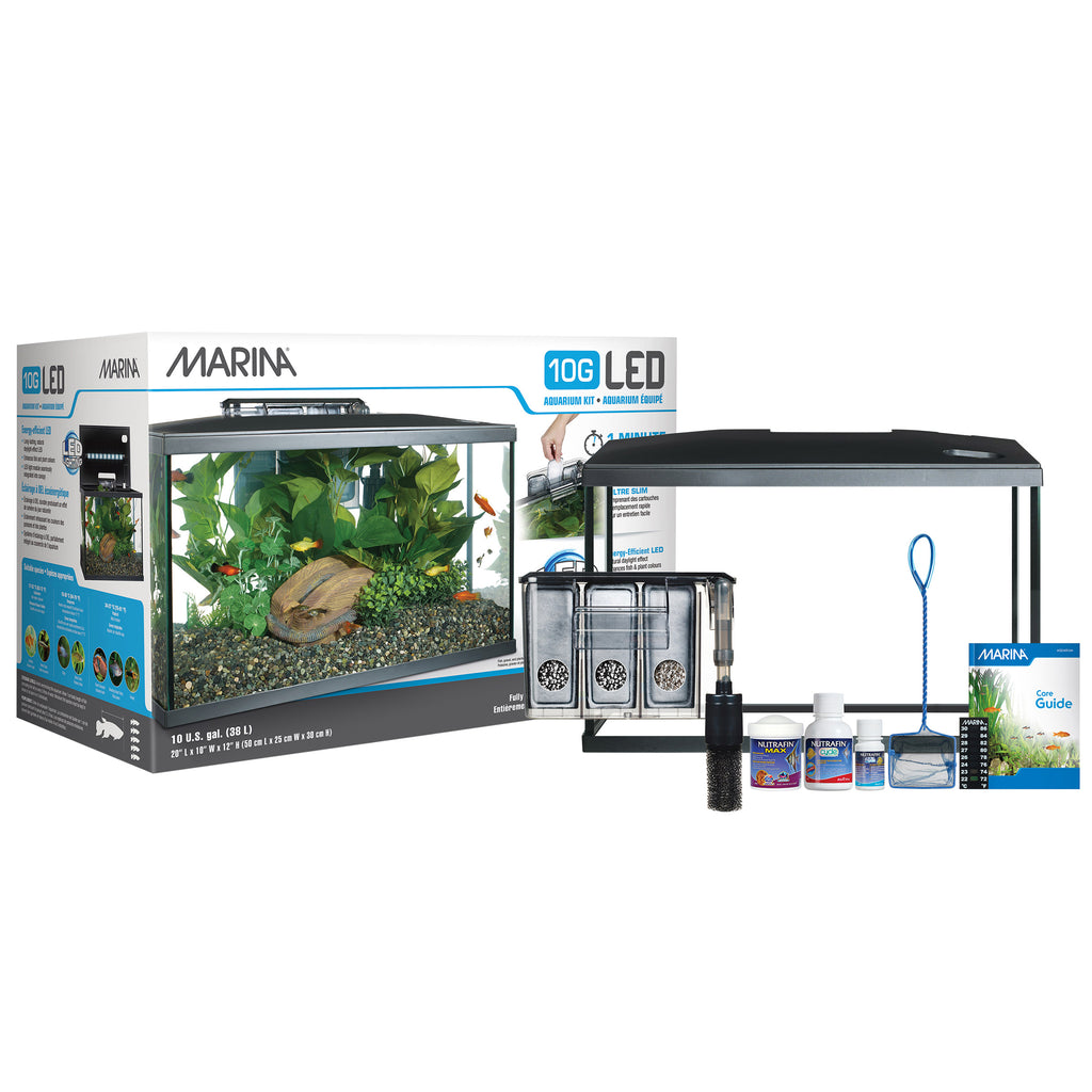 Light Up Your Underwater World with the Marina 10 Gallon LED Aquarium Kit! 🐠💡✨