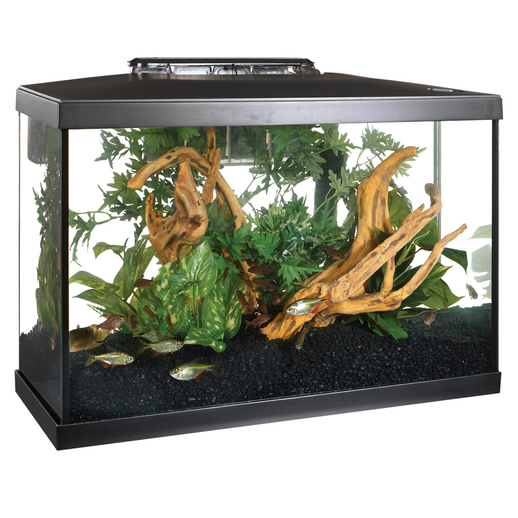 Light Up Your Underwater World with the Marina 10 Gallon LED Aquarium Kit! 🐠💡✨