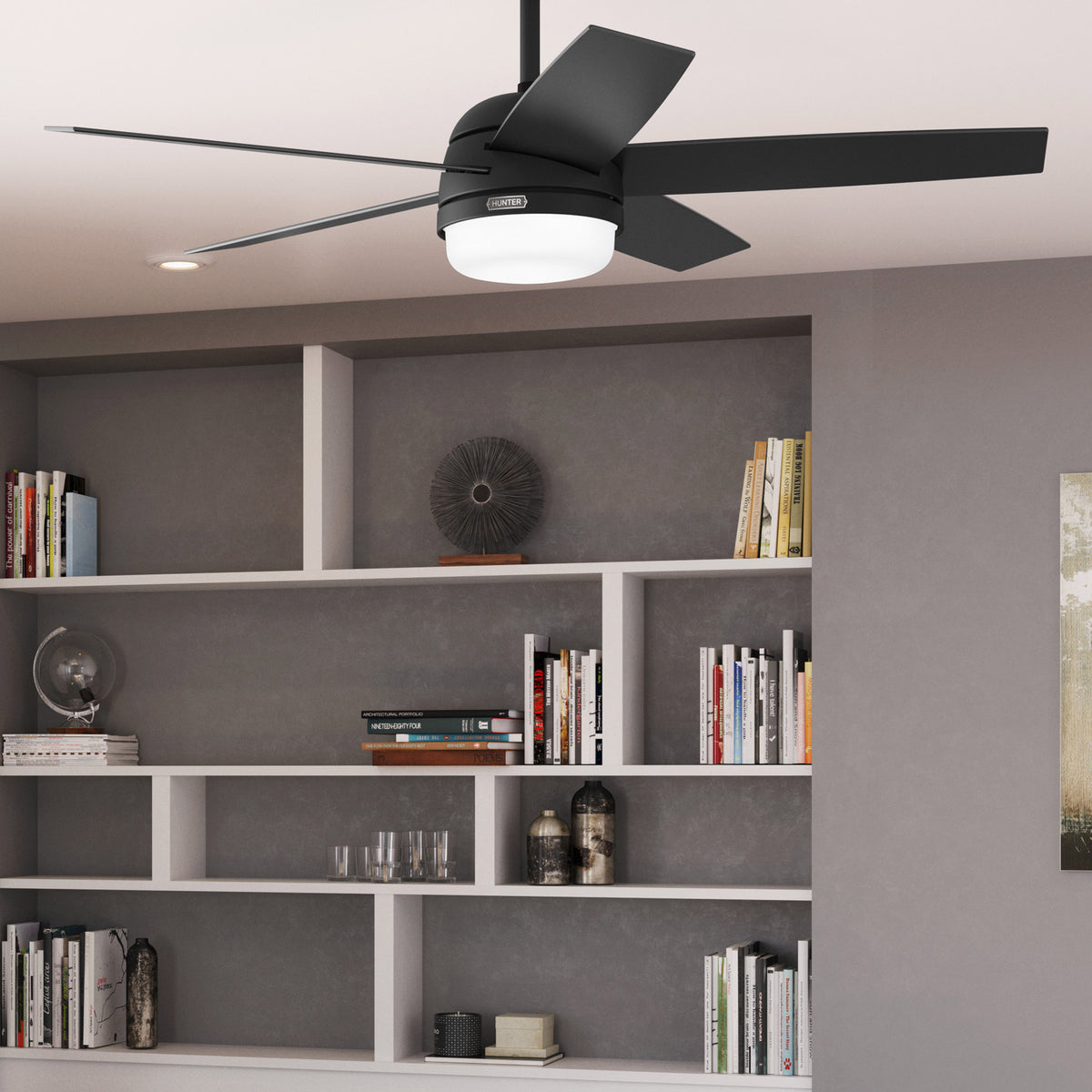 Stay Cool in Style with the Hunter Asheville 52” Ceiling Fan – Perfect for Indoor and Outdoor Spaces!